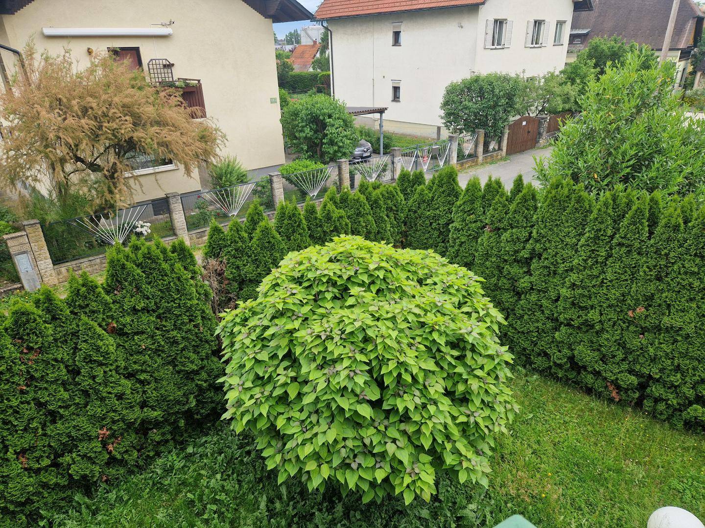 Blick in den Garten