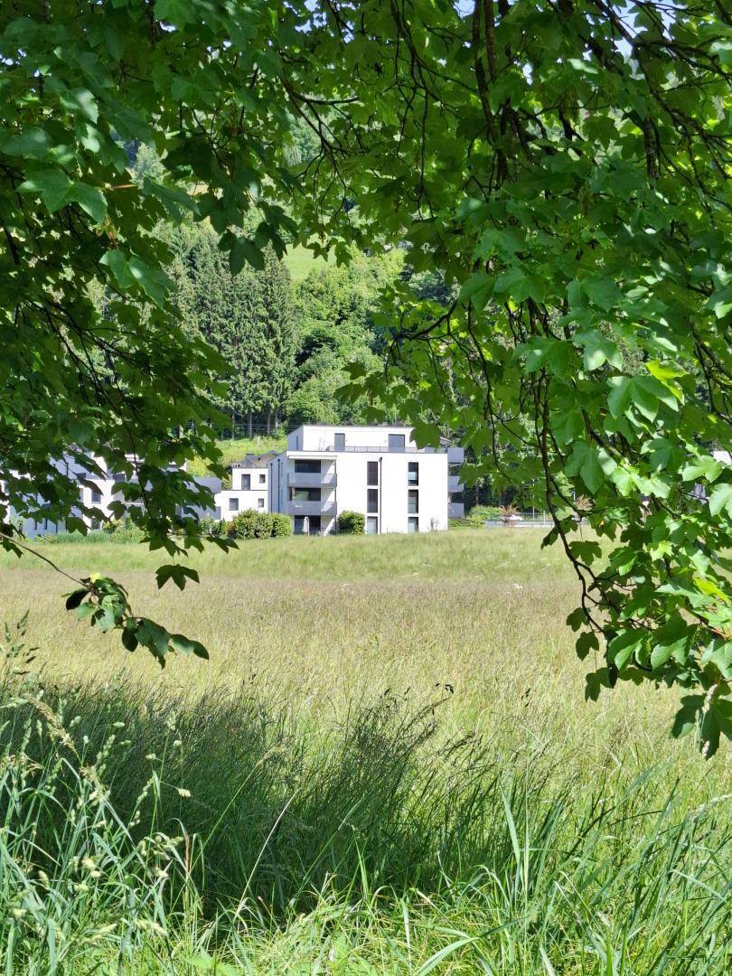Aussen