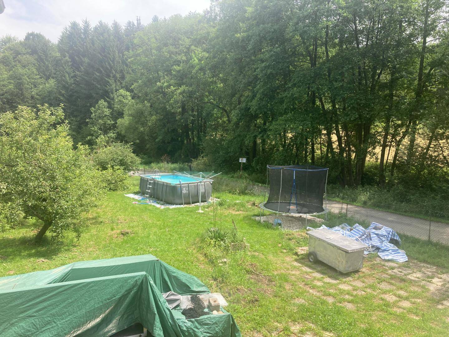 Großer Gartenbereich mit Aufstellpool, Trampolin und umgeben von dichtem Wald.