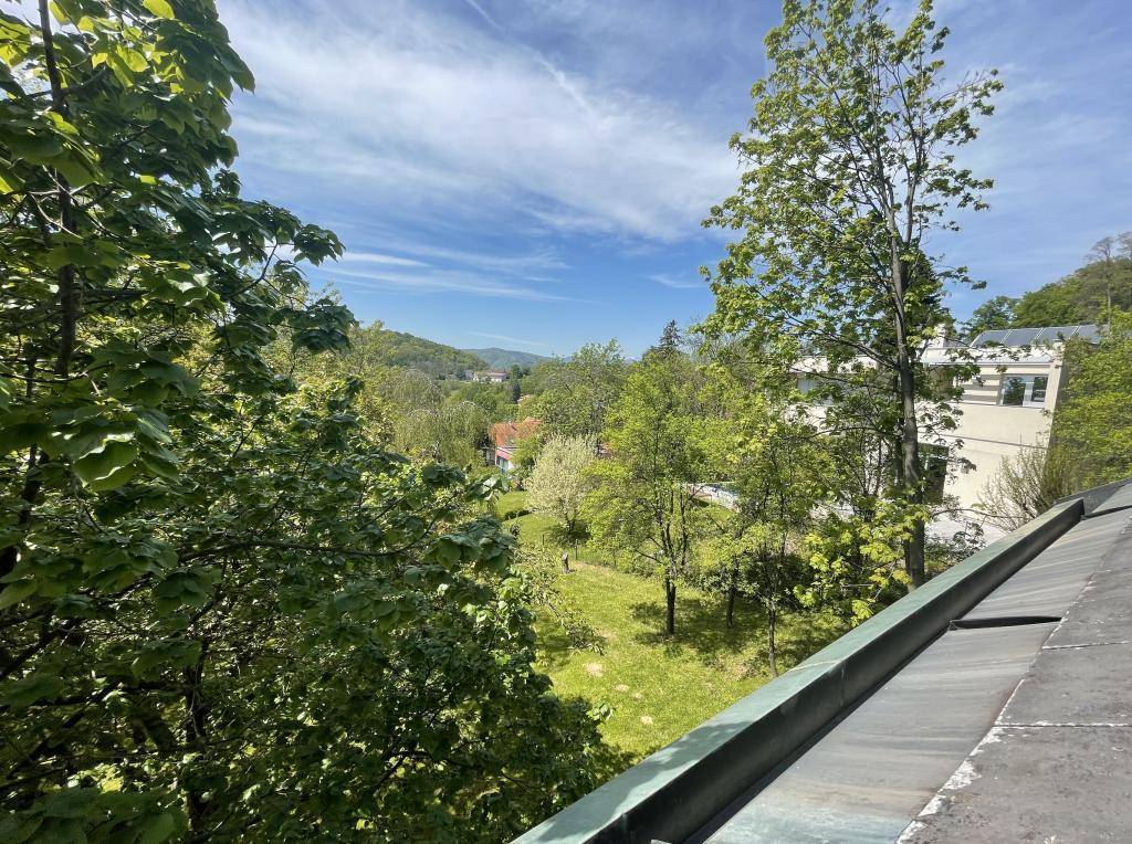 Ausblick Terrasse Jagdsalon