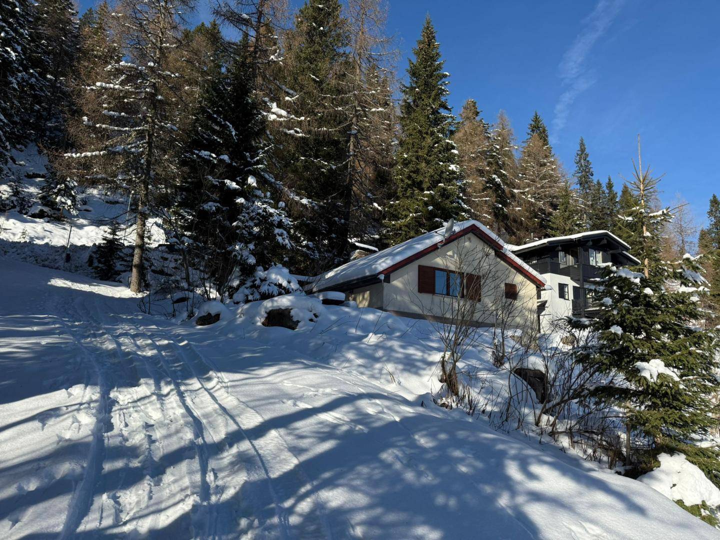 Haus in verschneiter Hanglage, umgeben von hohen Bäumen und einem klaren Winterhimmel.