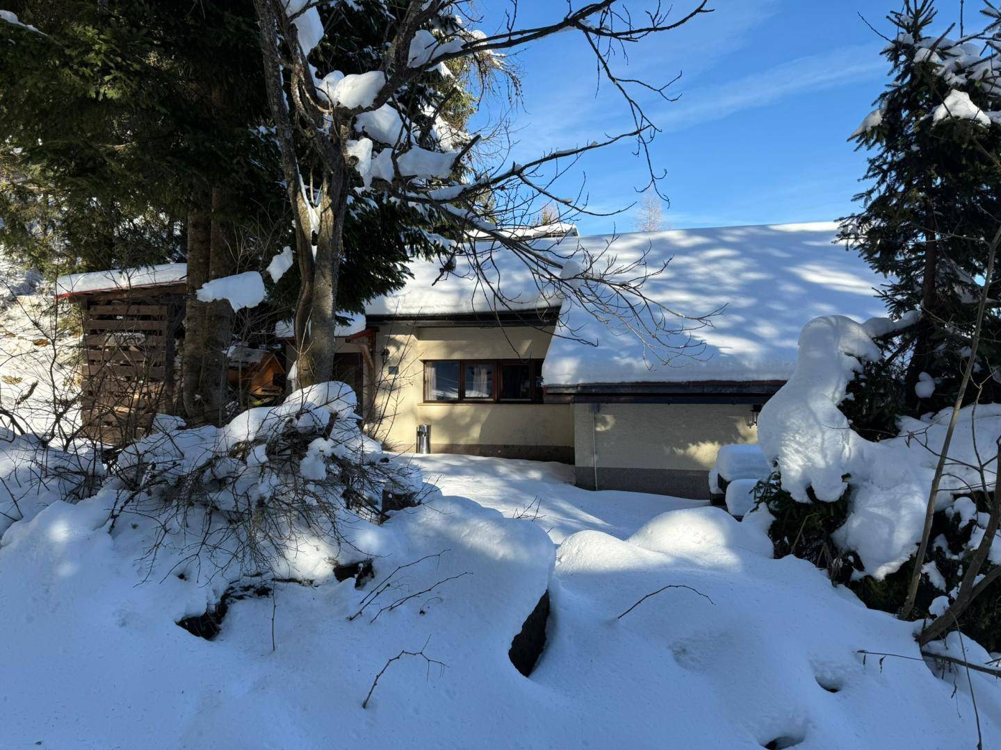 Haus in verschneiter Hanglage, umgeben von hohen Bäumen und einem klaren Winterhimmel.