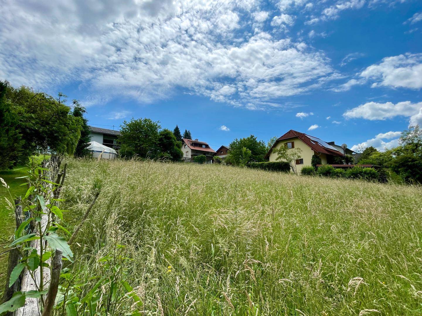 Weitläufiges Feld mit hohem Gras und mehreren Wohnhäusern am Horizont unter blauem Himmel.