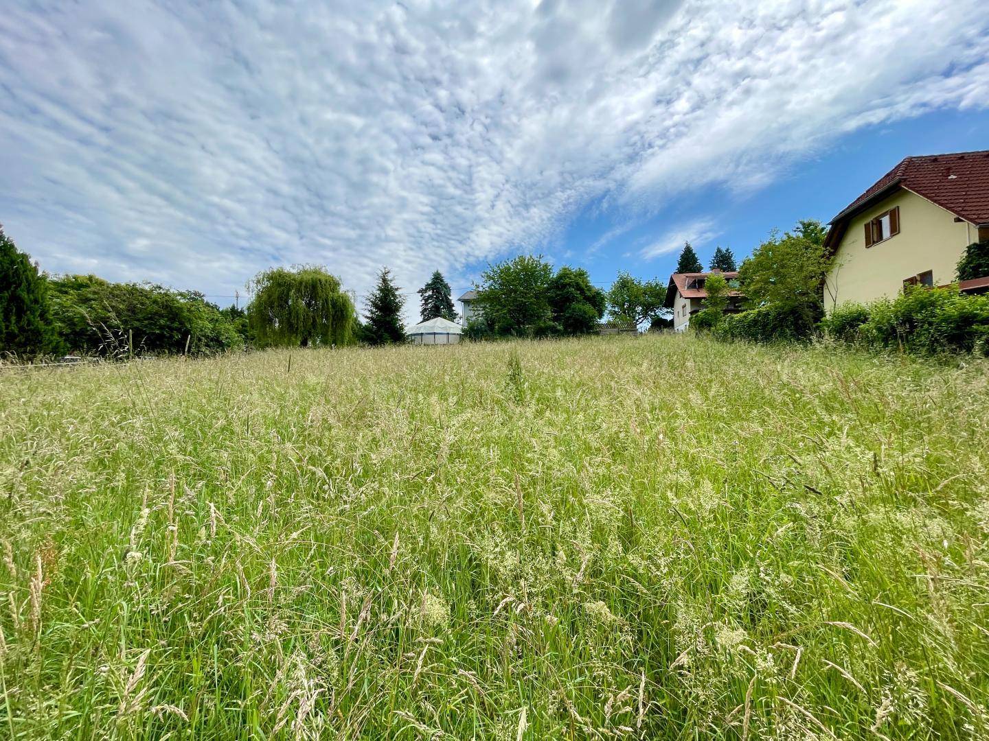 Weitläufiges Feld mit hohem Gras und einem Wohnhaus im Hintergrund unter blauem Himmel.