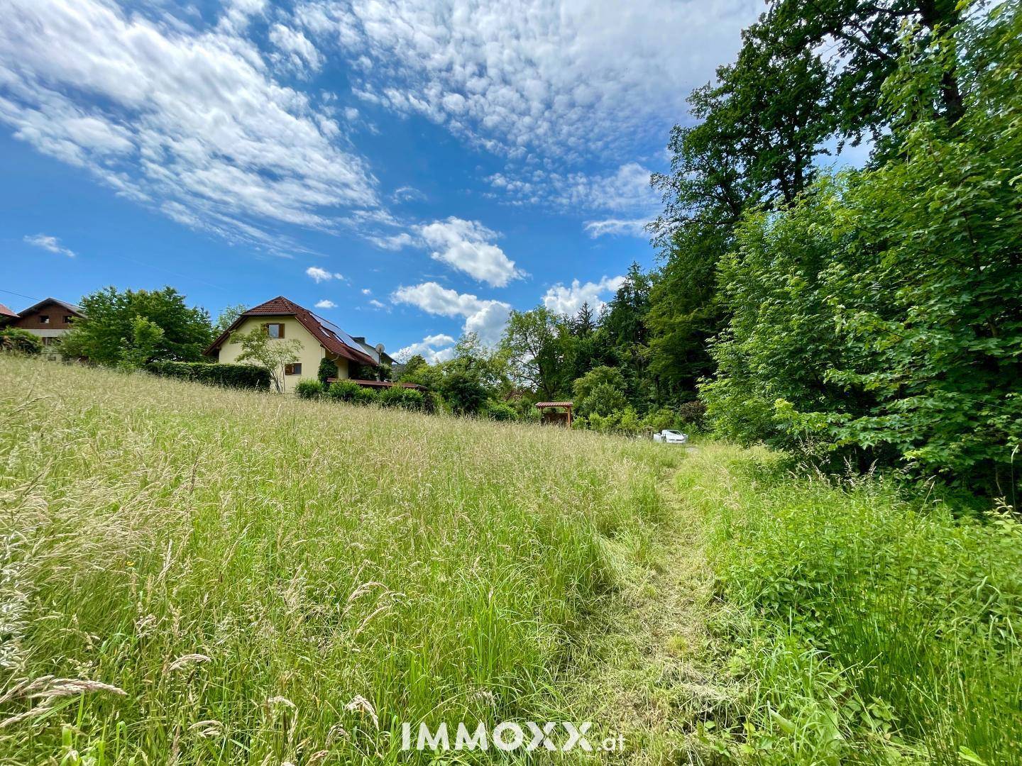 Grünes Feld mit hohem Gras, umgeben von Bäumen und einem Wohnhaus im Hintergrund.