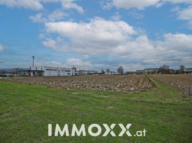 Weitläufiges Feld mit grüner Wiese und Ackerland, im Hintergrund moderne Gebäude unter bewölktem Himmel.