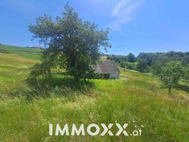 Kleines, älteres Haus, teilweise von einem großen Baum verdeckt, in hügeliger Landschaft.