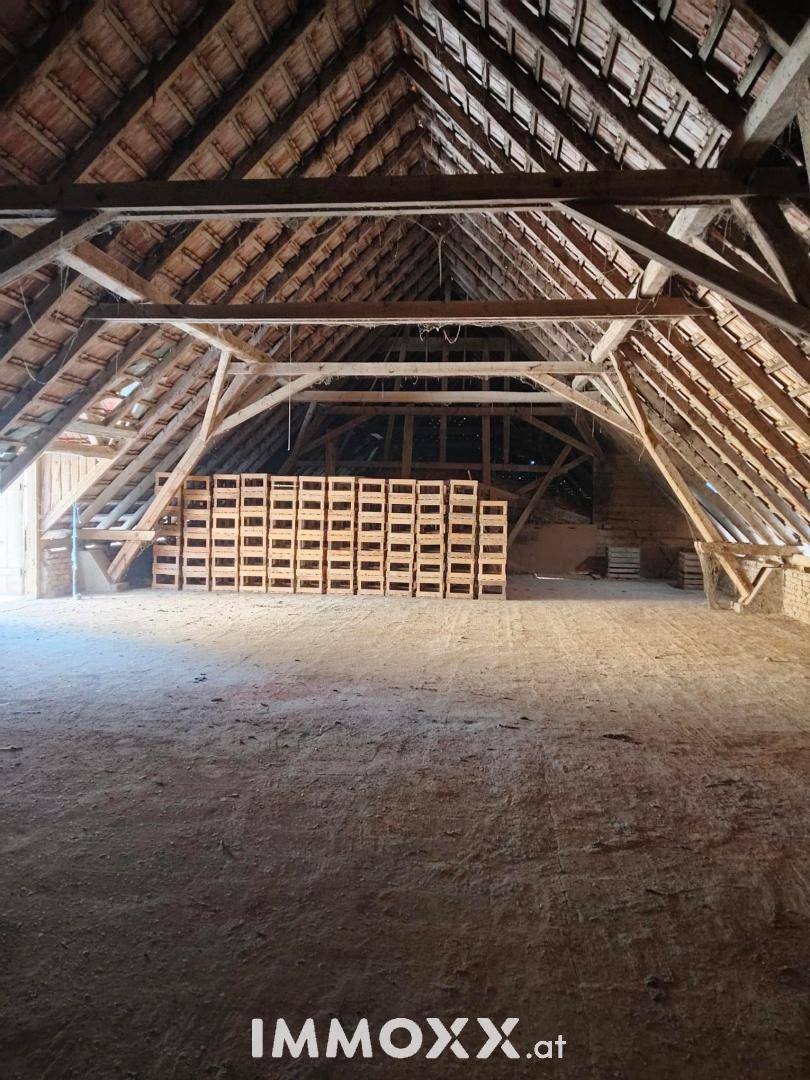 Geräumiger Dachboden mit sichtbarer Holzkonstruktion und Lagerkisten.