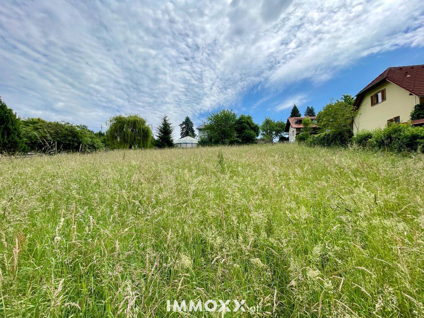 Offenes Wiesengrundstück mit hohem Gras, umgeben von Bäumen und einem Wohnhaus am Horizont.