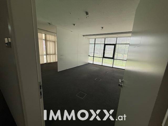 Leeres Büro mit Teppichboden, großen Fenstern und Blick ins Grüne.