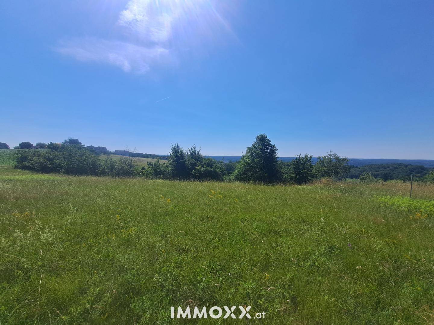 Sonnige, weite Wiesenlandschaft mit Bäumen am Horizont und klarem blauem Himmel.