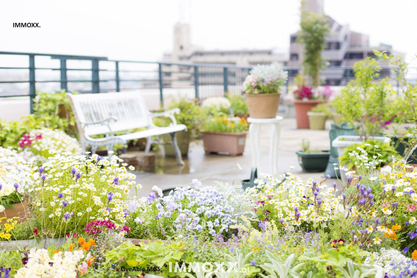 Grüne Dachterrasse mit vielen Pflanzen, Blumen und einer weißen Gartenbank, ideal zum Entspannen.