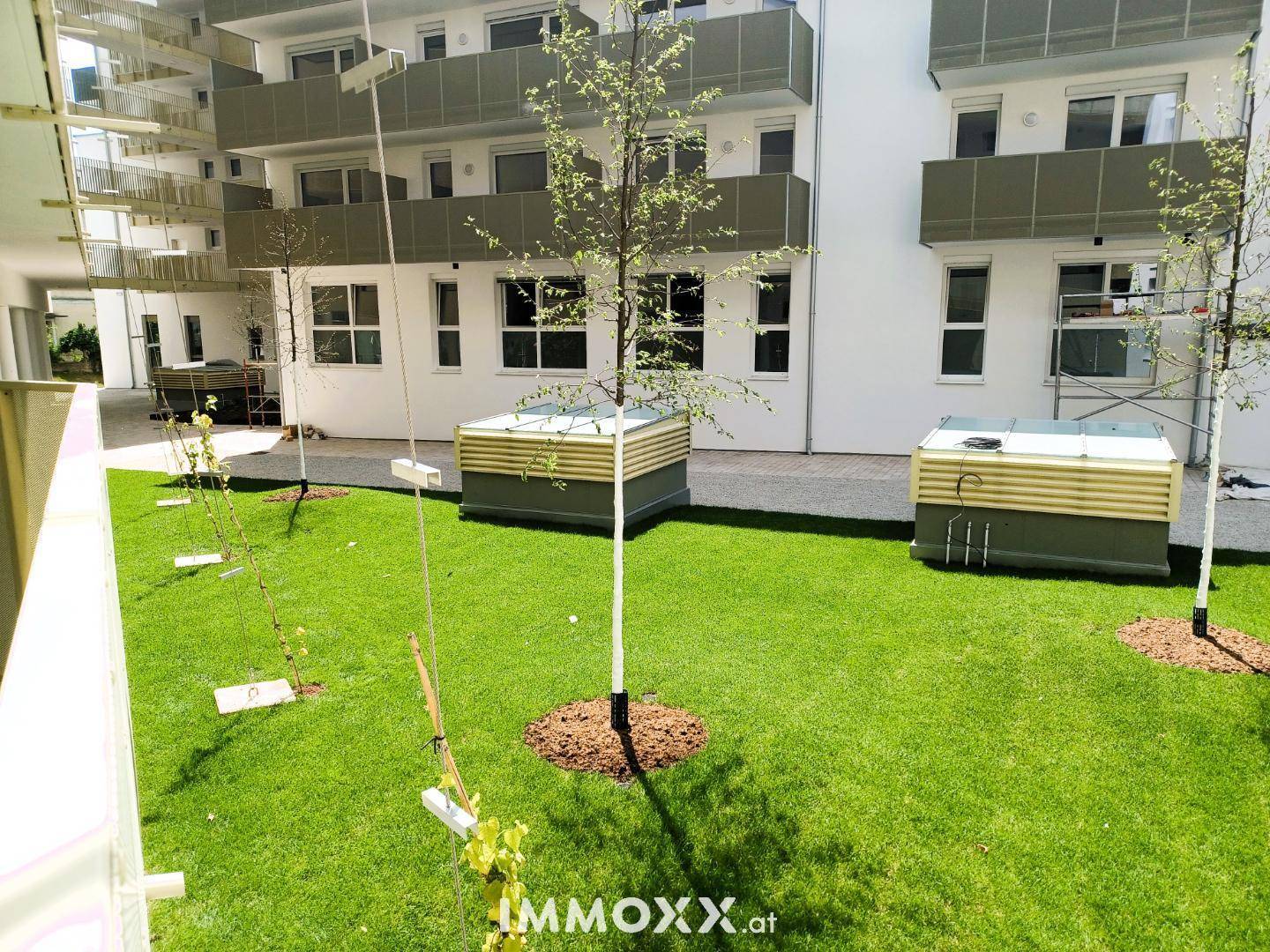 Gepflegter Gemeinschaftsgarten mit Rasenflächen und jungen Bäumen zwischen den Gebäuden.