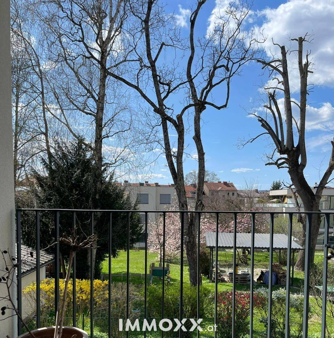 Weitläufiger Blick ins Grüne mit hohen Bäumen und einem gepflegten Gartenbereich unter blauem Himmel.