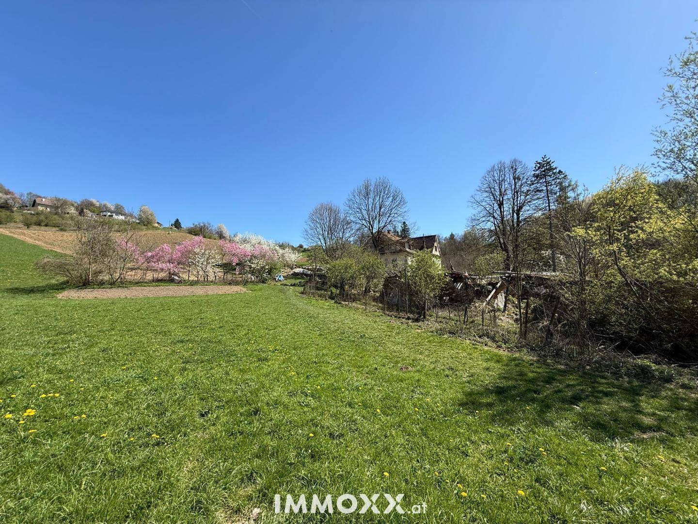 Eine ausgedehnte grüne Wiese mit blühenden Bäumen und Gebäuden am Horizont unter blauem Himmel.