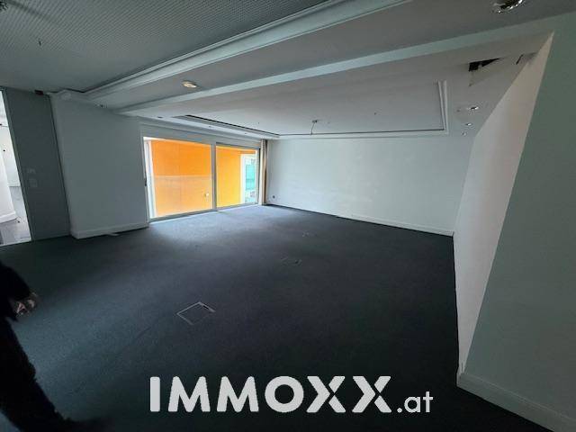 Geräumiger Büroraum mit dunklem Teppichboden und großen Fenstern mit orangefarbenen Rollos.