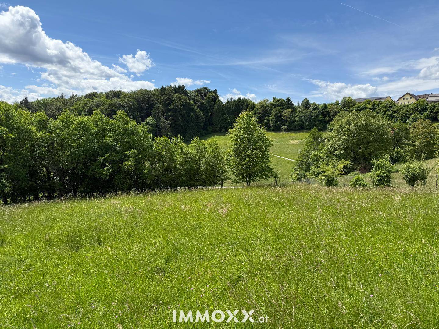 Weitläufige grüne Wiesen und bewaldete Hügel unter einem strahlend blauen Himmel, typisch für die ländliche Gegend.