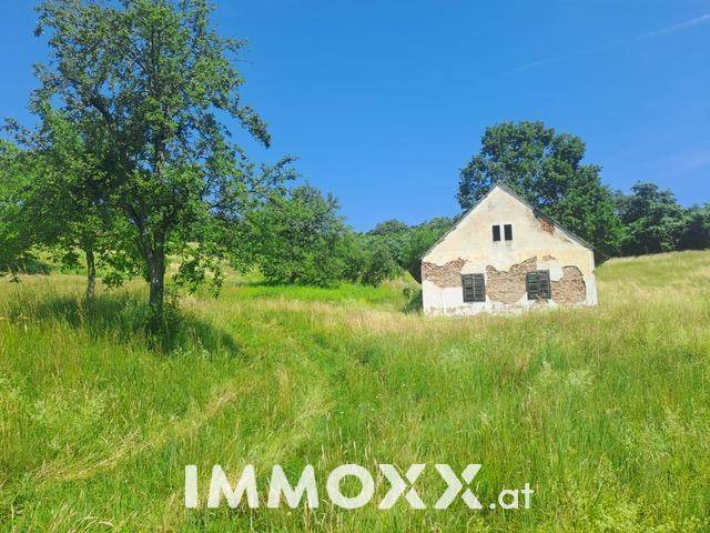 Altes, renovierungsbedürftiges Haus inmitten einer weiten Wiese unter strahlend blauem Himmel.