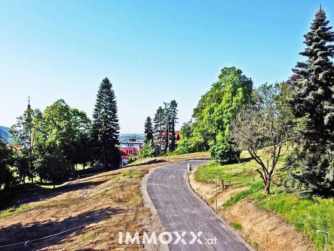 Kurvige, neu asphaltierte Straße in einer grünen Hügellandschaft mit Bäumen und Fernblick auf eine Stadt.