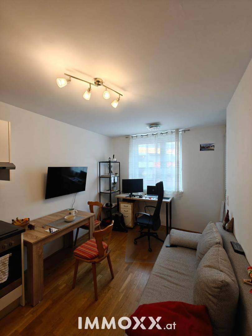 Kombinierter Wohn- und Essbereich mit Holzboden, Sofa, Esstisch und Arbeitsplatz am Fenster.