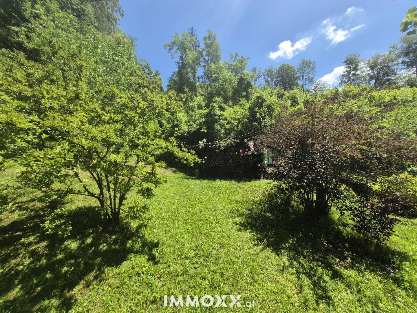 Weitläufiger Garten mit Rasenfläche und jungen Bäumen, umgeben von dichter Vegetation.
