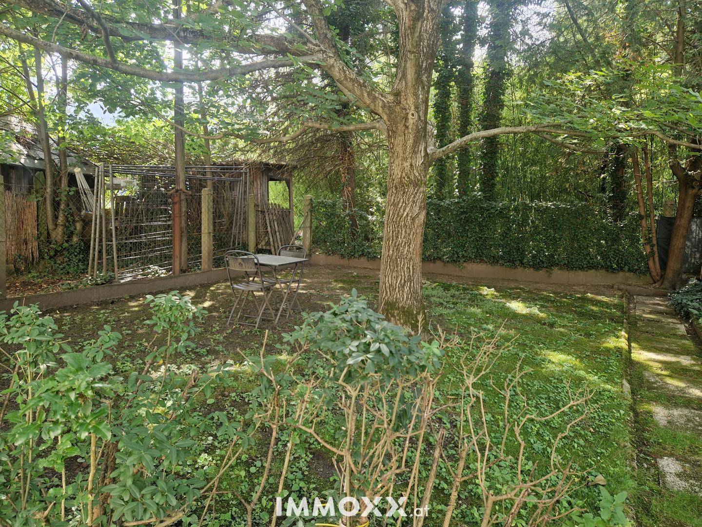 Grüner Gartenbereich mit altem Baumbestand und einer kleinen Sitzecke im Freien.