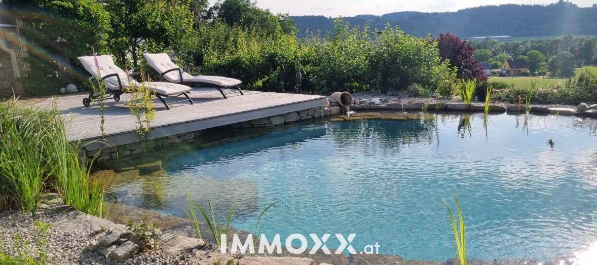Naturpool mit Holzdeck und Sonnenliegen, umgeben von grüner Landschaft und Bäumen an einem sonnigen Tag.