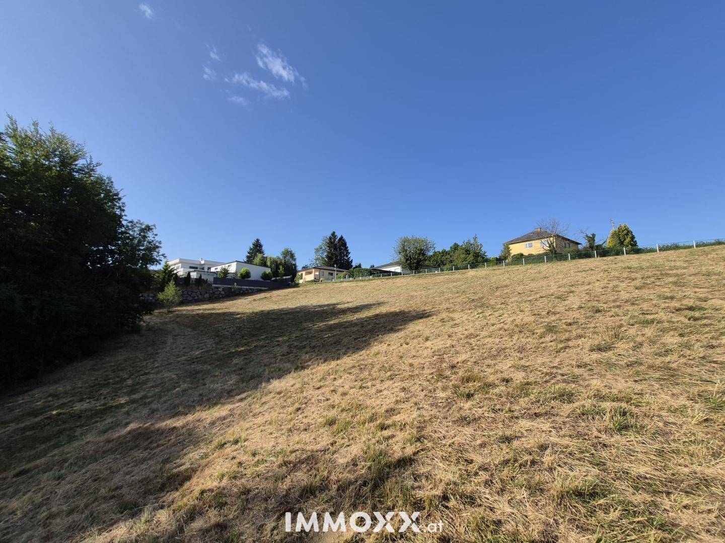 Abfallendes Feld mit Häusern auf einem Hügel und grüner Vegetation unter klarem Himmel.