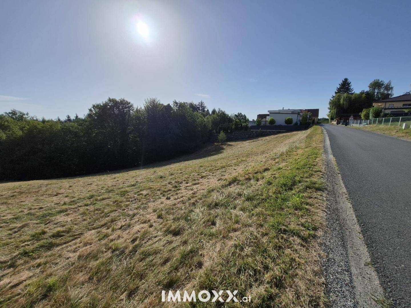Sonniges Feld neben einer Straße mit Bäumen und Häusern in der Ferne unter blauem Himmel.