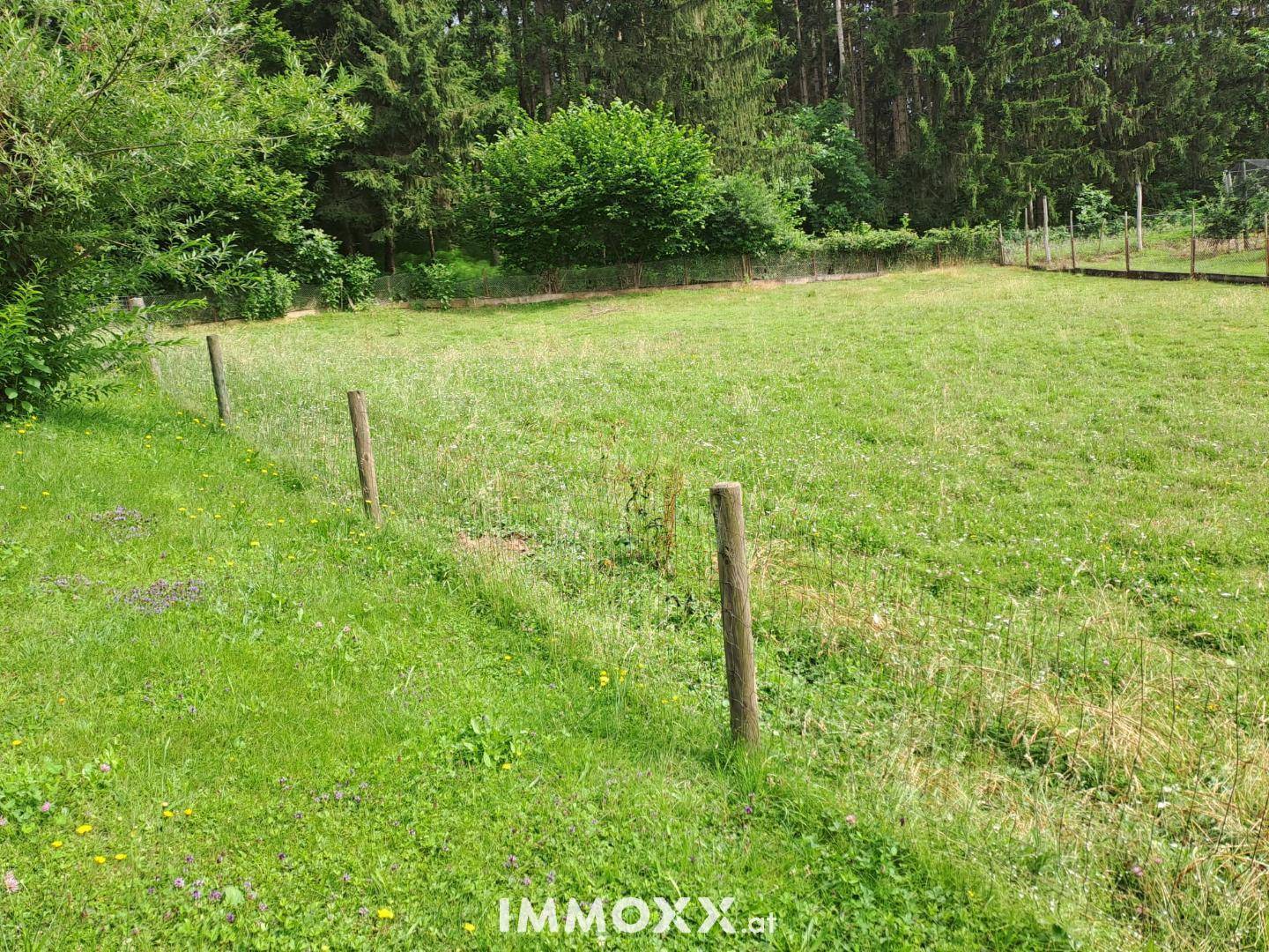Weitläufige grüne Wiese mit Holzpfahlzaun und Wald im Hintergrund, bietet viel Platz im Freien.