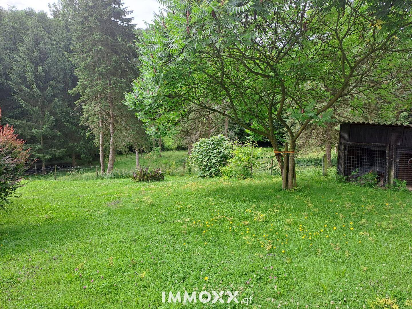 Großer, offener Gartenbereich mit einem markanten Baum in der Mitte und umgebenden Wäldern.