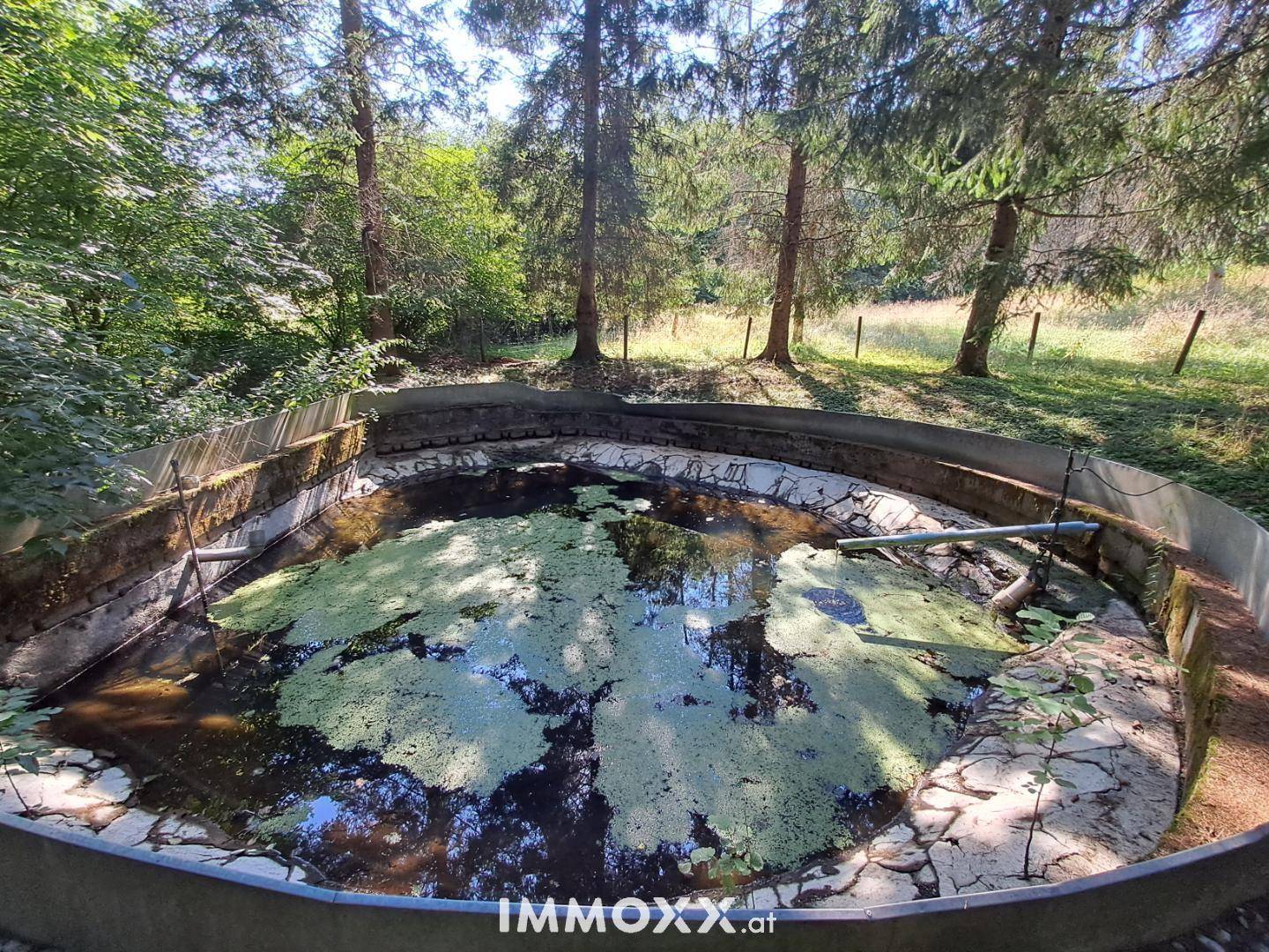 Detailansicht eines Gartenteichs mit Wasserpflanzen, umgeben von üppigem Grün.