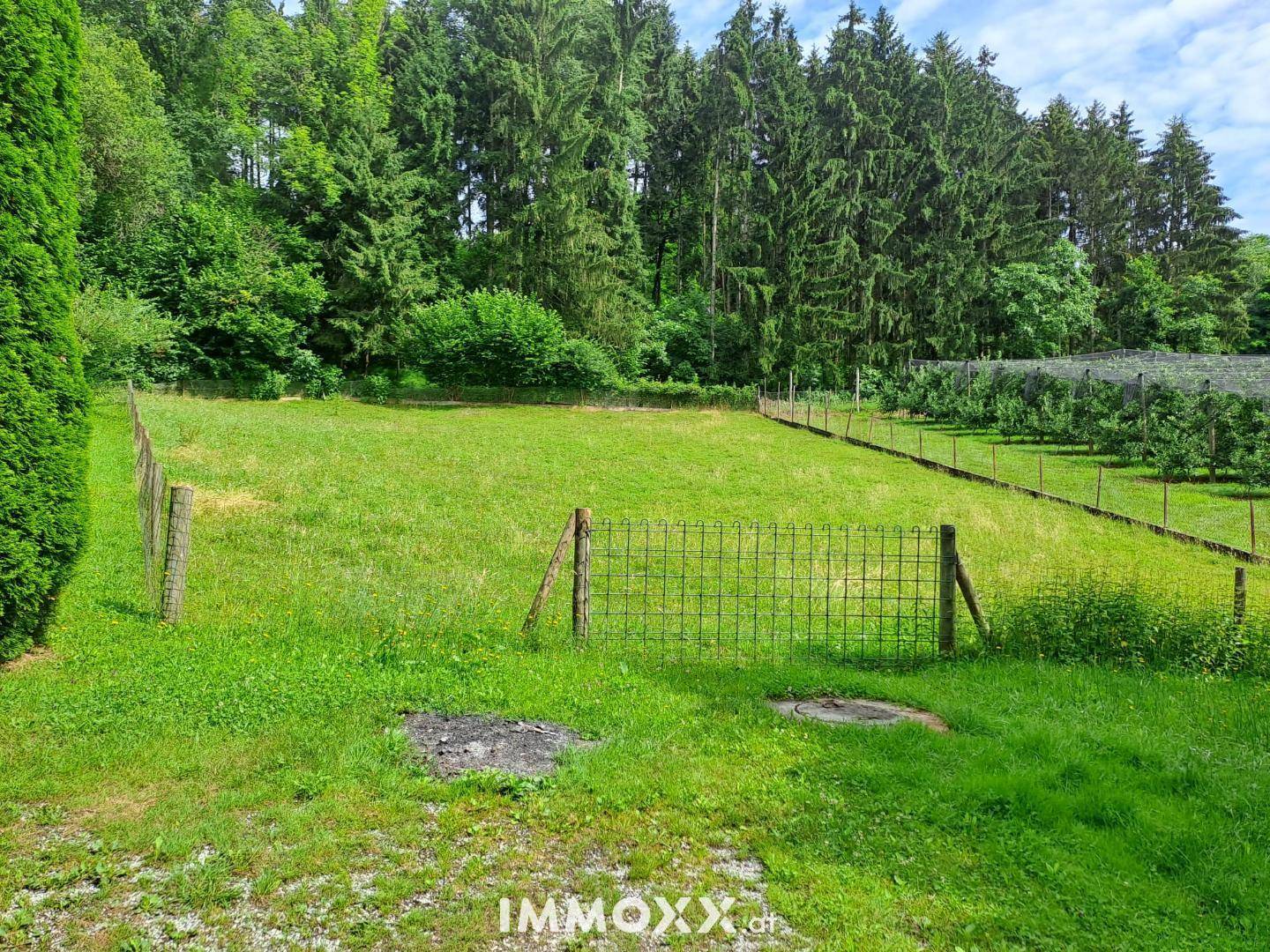 Weitläufige grüne Wiese mit Zaun und Wald im Hintergrund, bietet viel Platz und Natur.