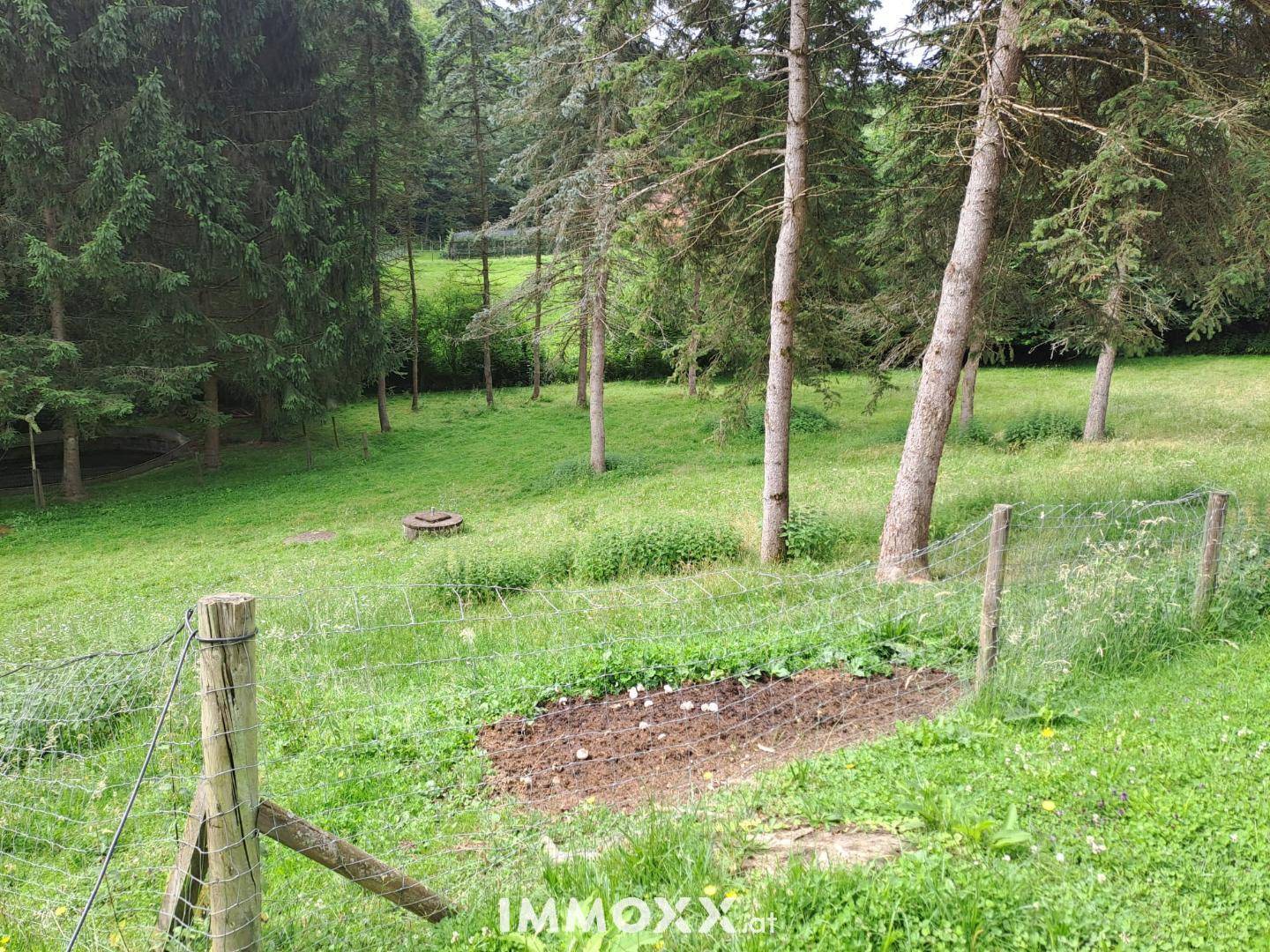 Große Wiese mit vereinzelten Bäumen und einem kleinen, vorbereiteten Beet für den Anbau.