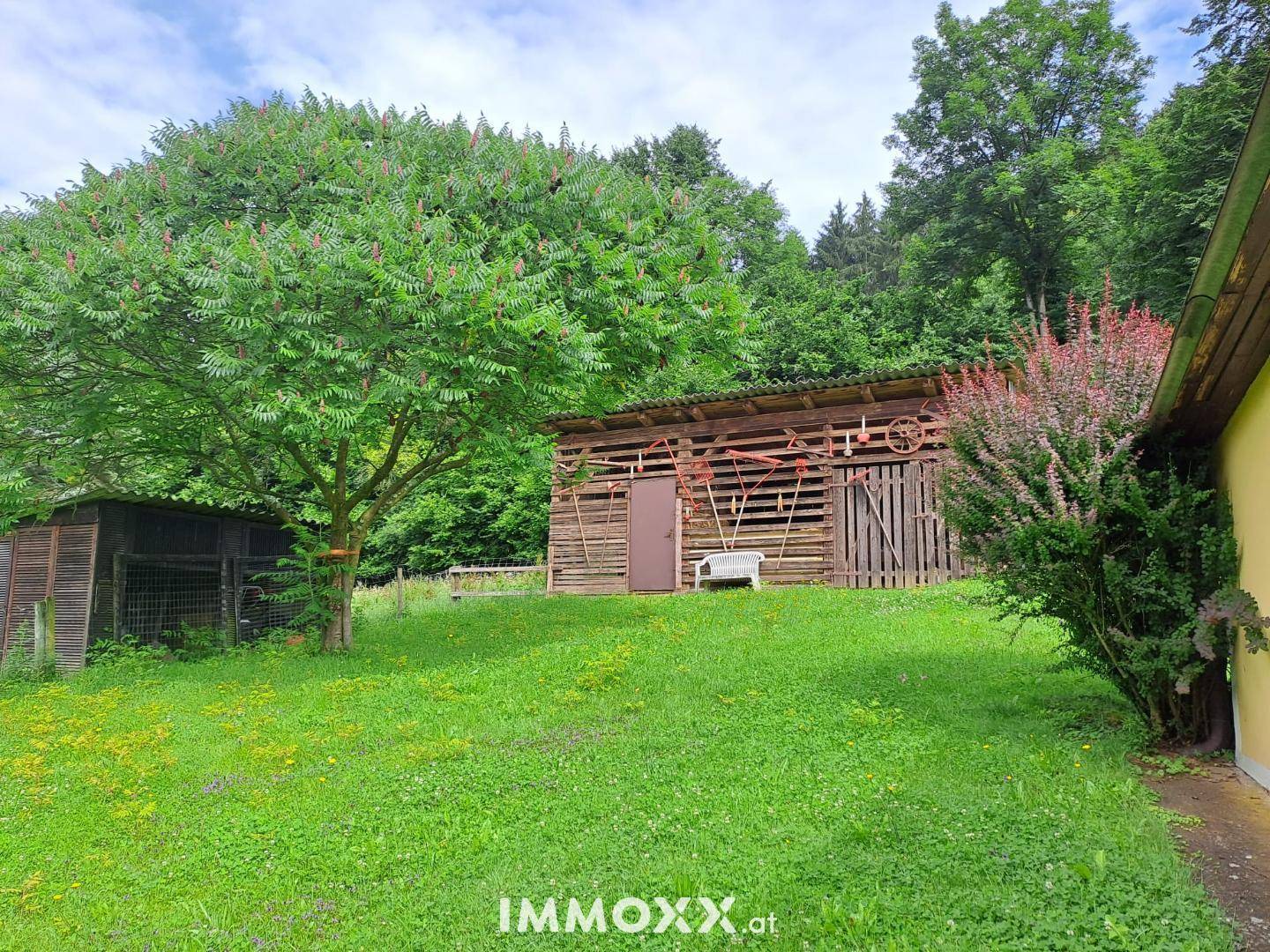 Weitläufiger Garten mit alten Bäumen und zwei rustikalen Holzschuppen, umgeben von Natur.
