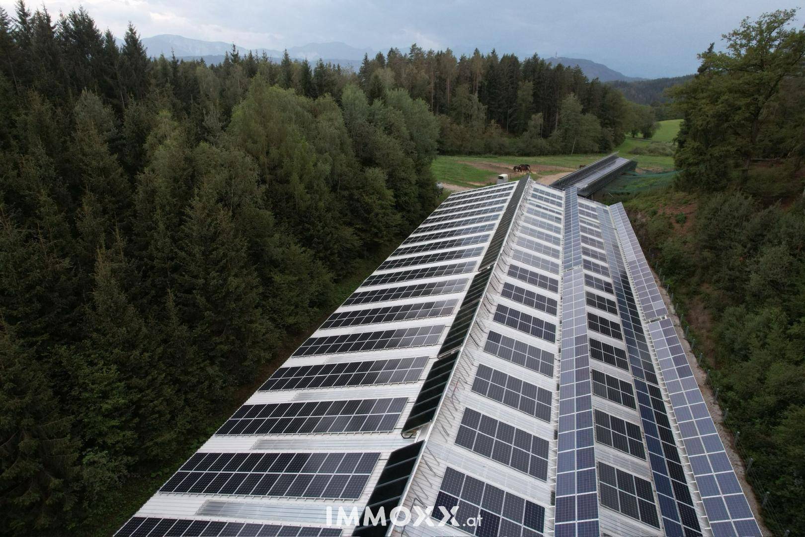 Dachfläche eines Gebäudes, vollständig bedeckt mit zahlreichen Photovoltaik-Modulen zur Energiegewinnung.