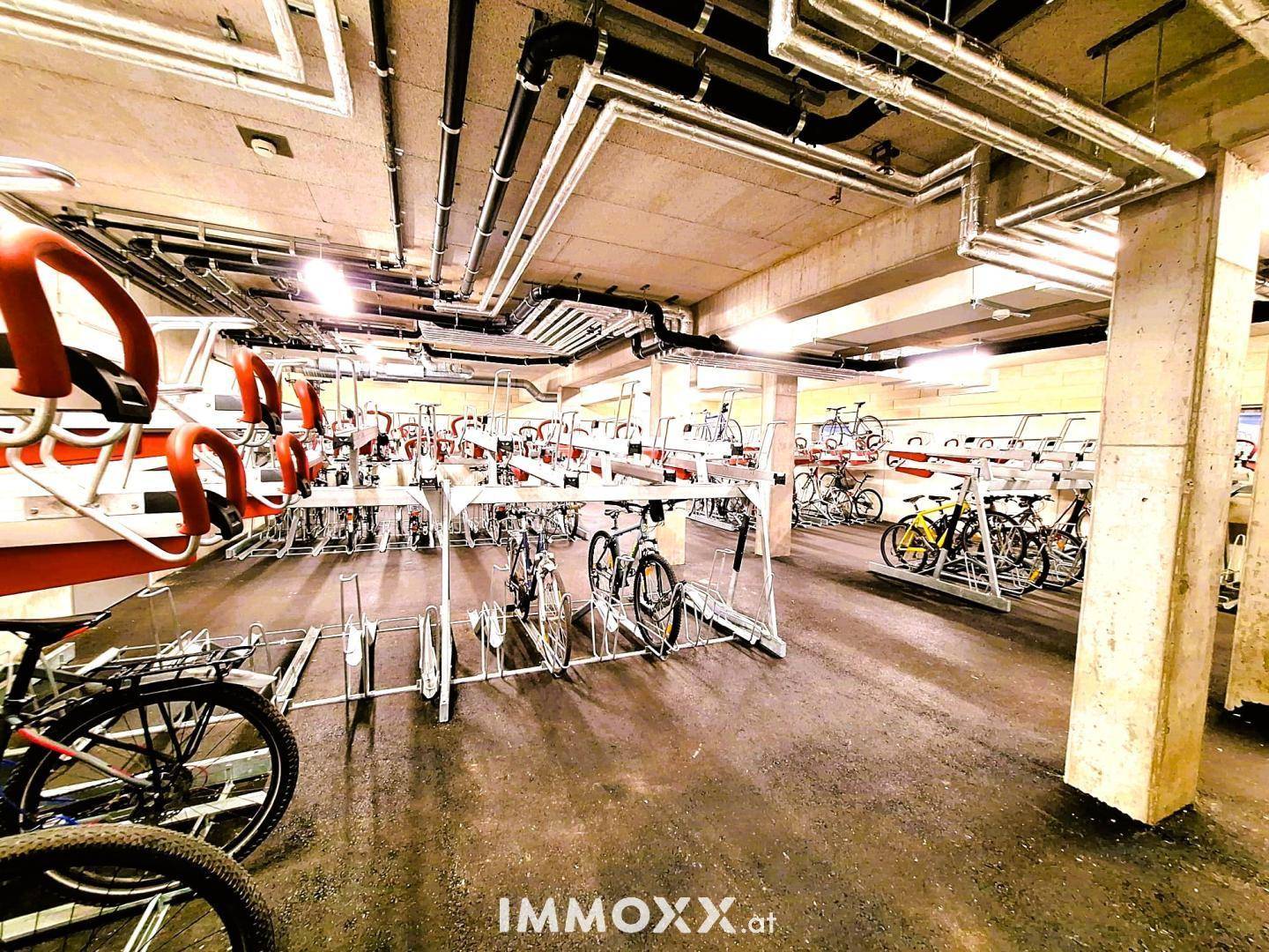 55