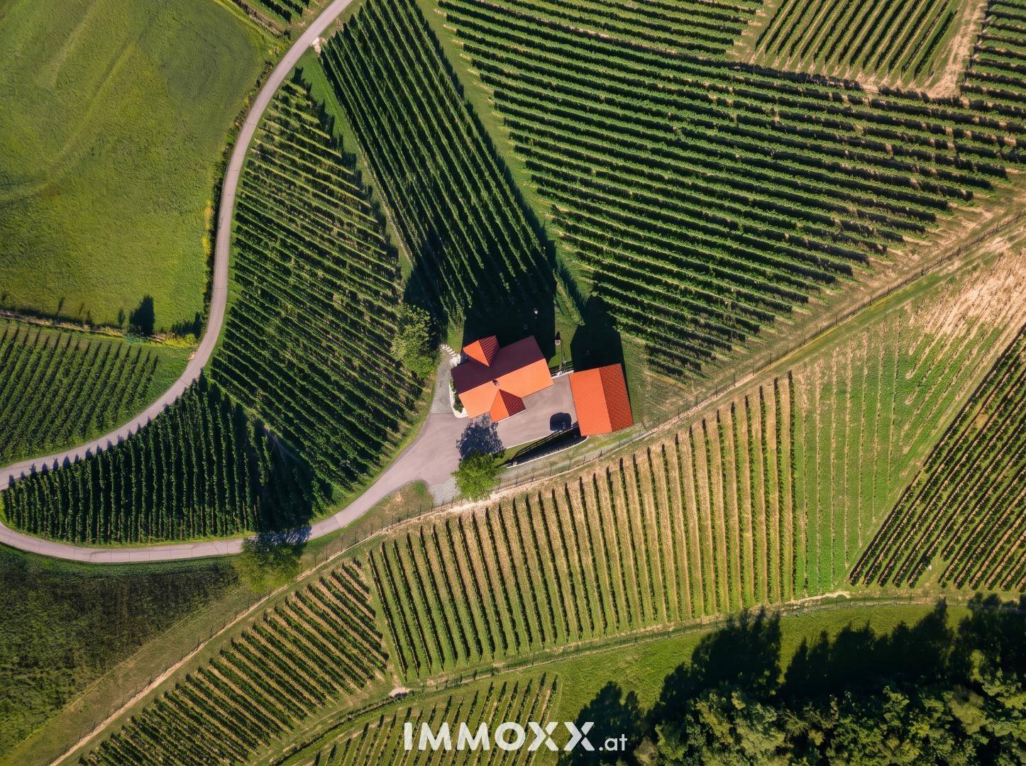 Traumhaus aus der Vogelperspektive