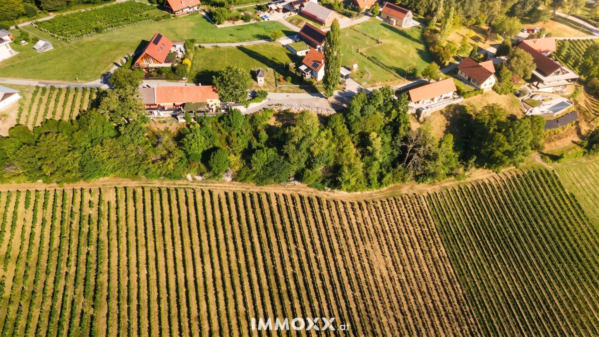 Vogelperspektive auf ein charmantes Dorf, eingebettet zwischen weitläufigen Weinbergen und grünen Landschaften.