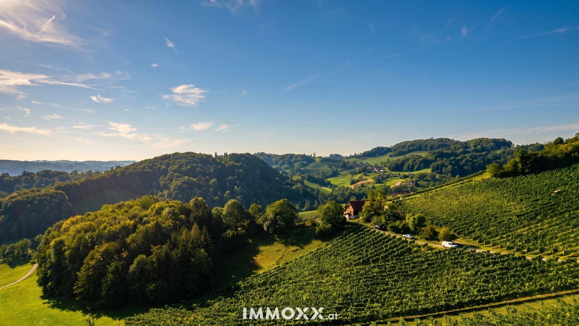 Weitläufige Weinberge und dichte Wälder erstrecken sich über sanfte Hügel unter einem strahlend blauen Himmel.