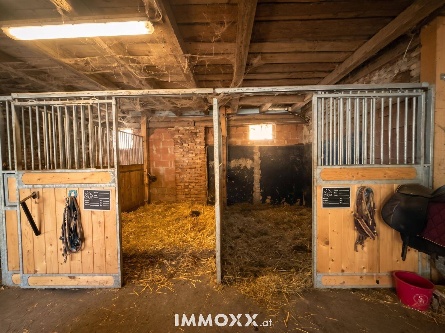 Innenansicht eines Stalls mit zwei Pferdeboxen, Stroh und rustikalen Wänden.