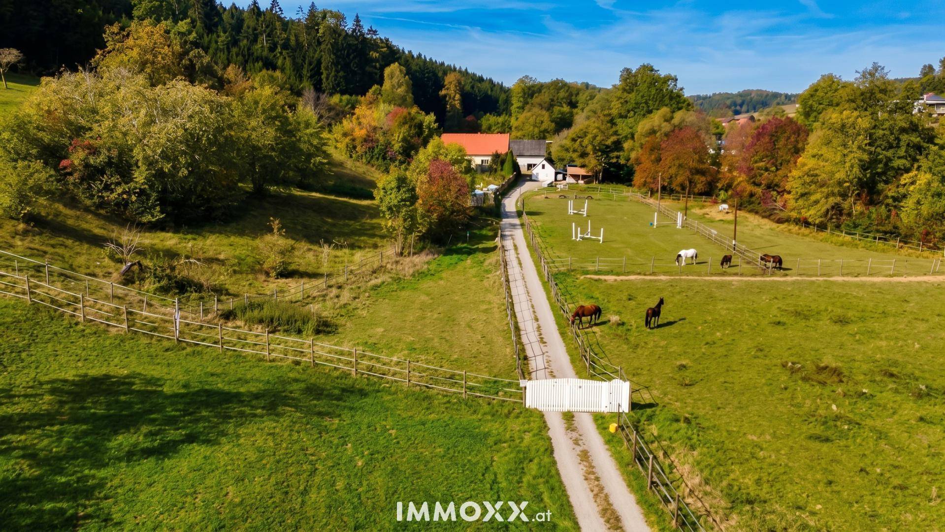 Weitläufiges Anwesen mit Zufahrtsweg, Pferdekoppeln und umgebender Natur.
