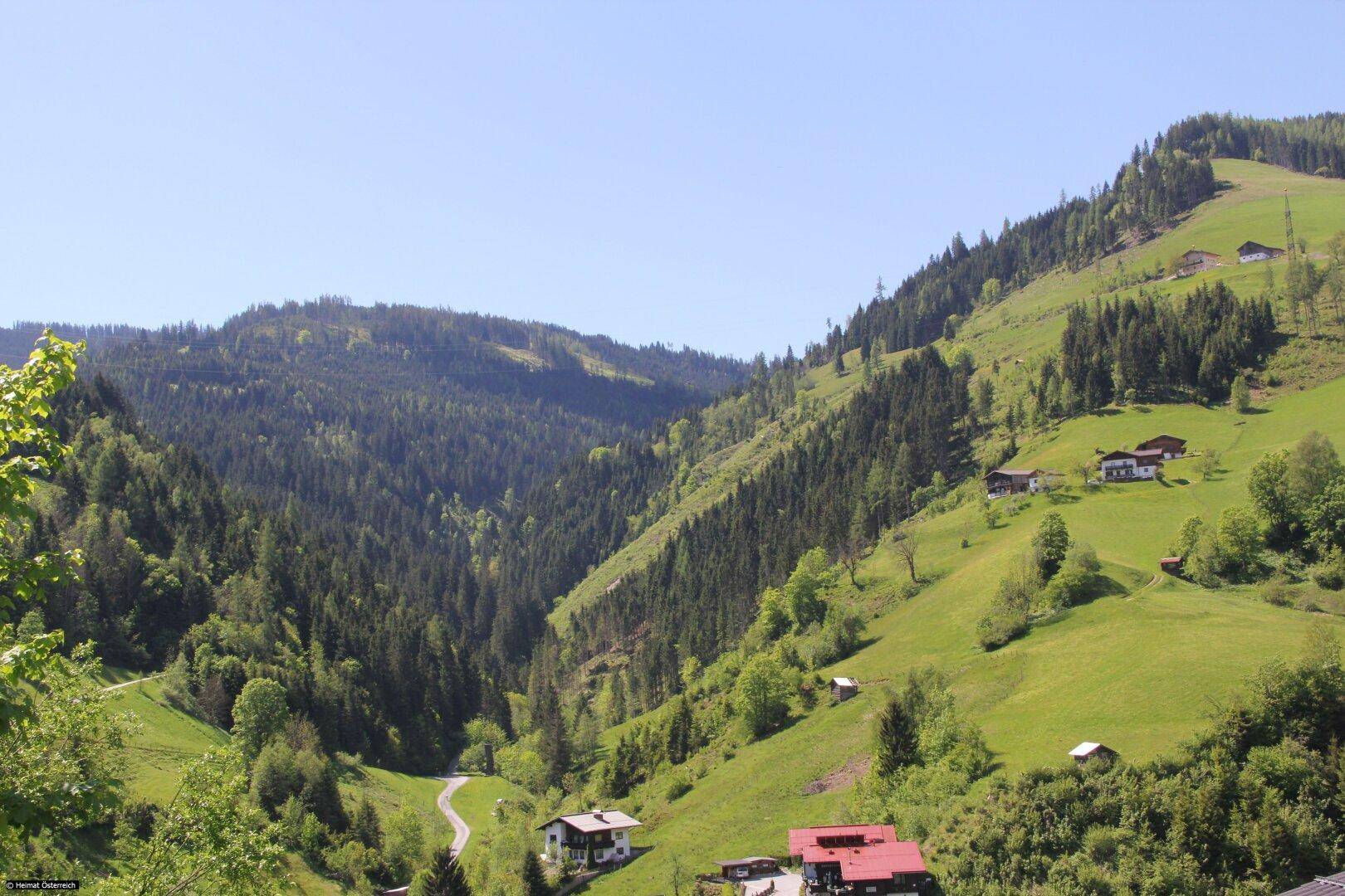 Aussicht1