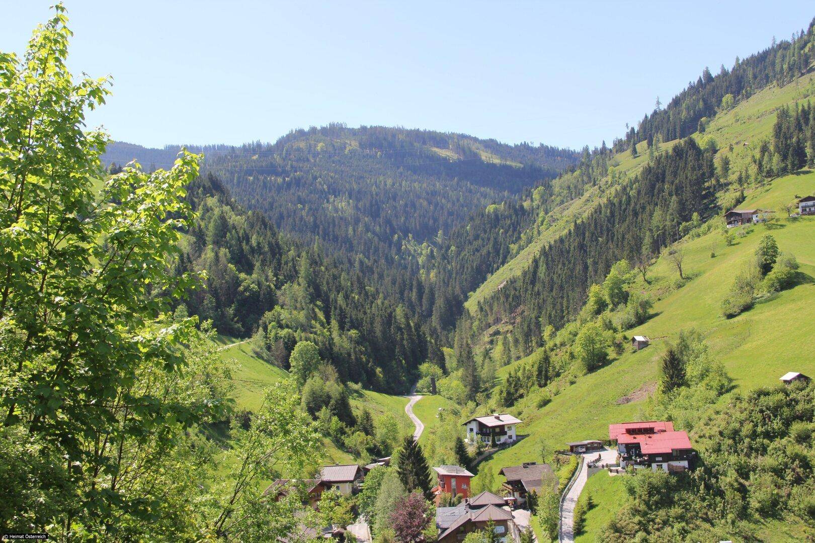 Aussicht2