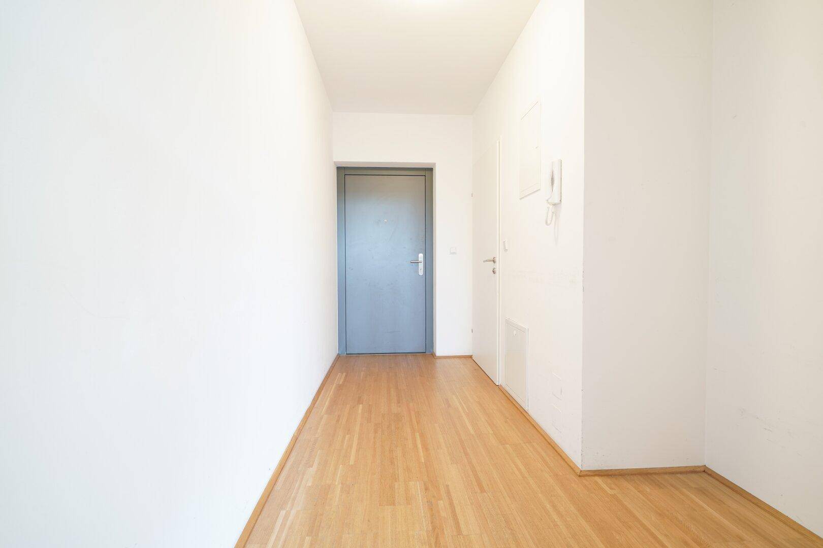 Eingangsbereich mit Holzboden und einer modernen grauen Tür.