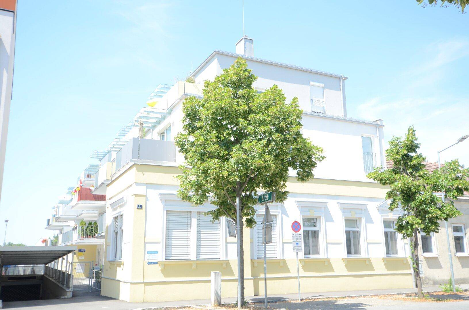 Gebäudeecke mit einem Baum im Vordergrund, heller Fassade und Rollläden unter blauem Himmel.