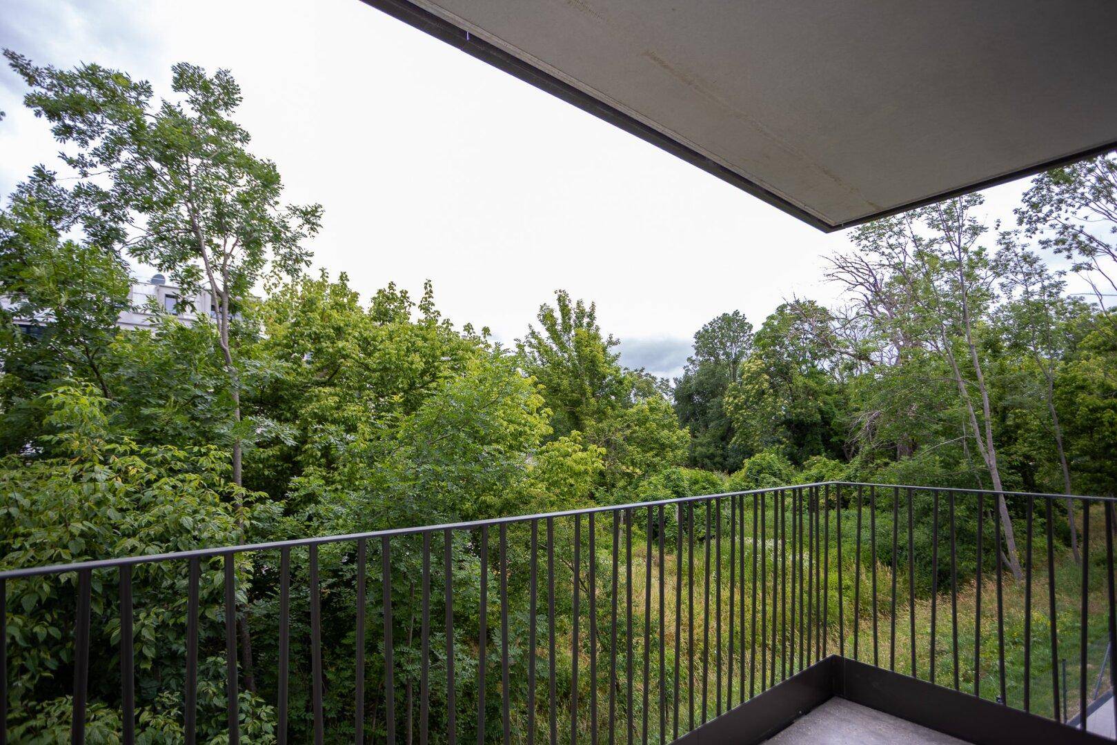 Geräumiger Balkon mit Blick auf eine üppige grüne Baumlandschaft unter bewölktem Himmel.