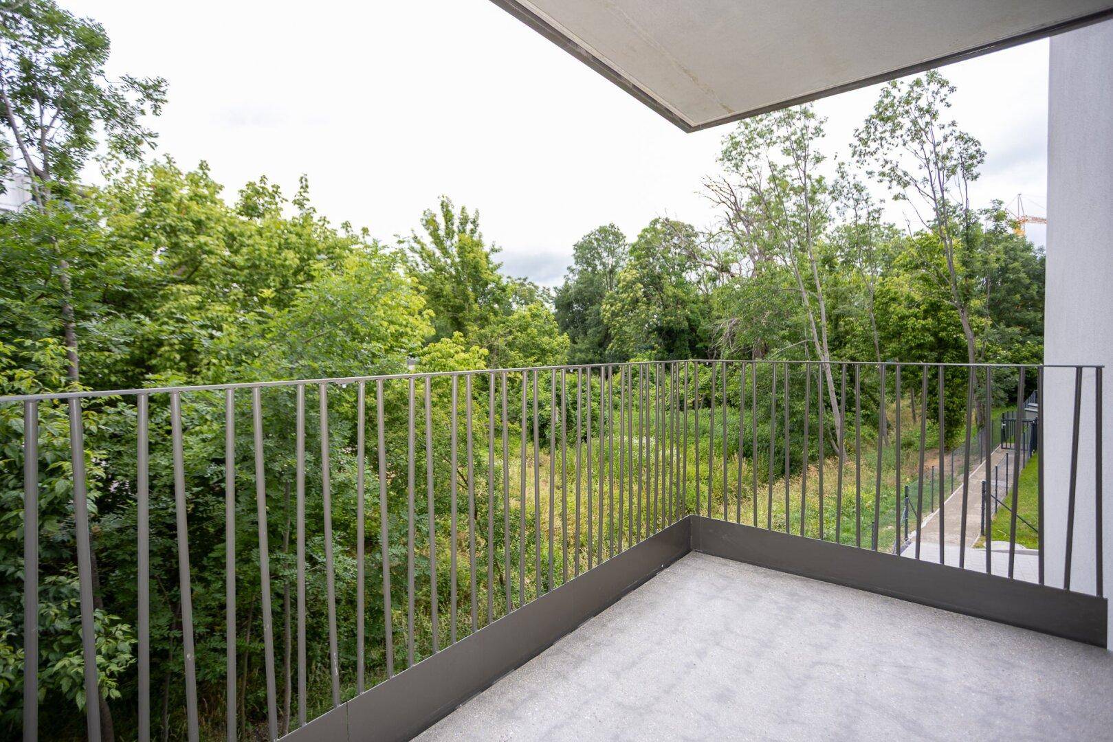 Balkon mit Metallgeländer und weitem Blick ins Grüne mit vielen Bäumen.
