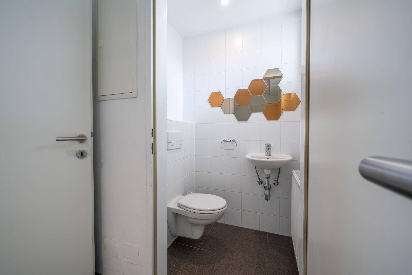 Modernes Gäste-WC mit Wand-WC, Waschbecken und dekorativen Spiegelelementen.