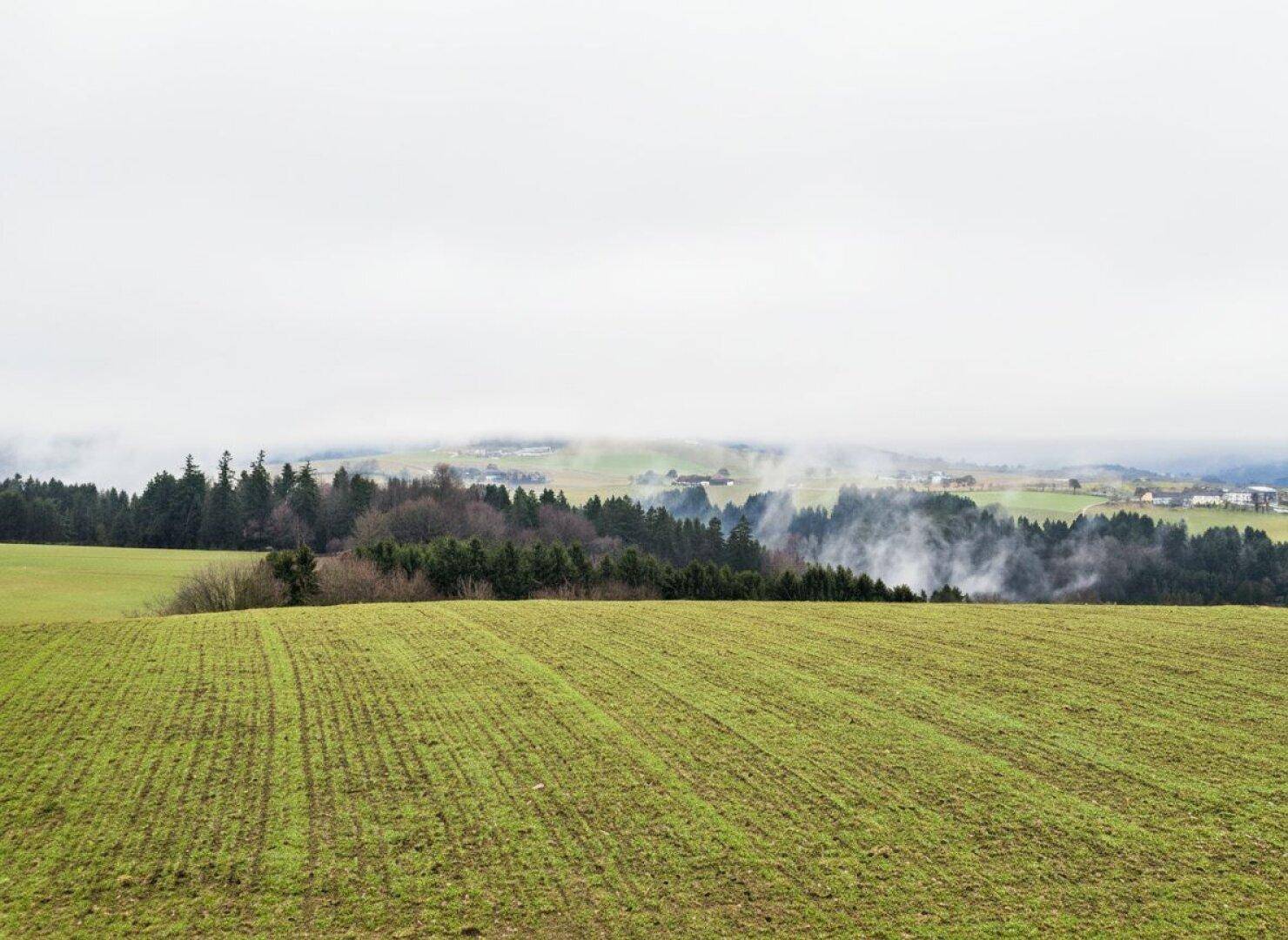Weitläufige Landschaft mit grünen Feldern und bewaldeten Hügeln unter einem bewölkten Himmel.